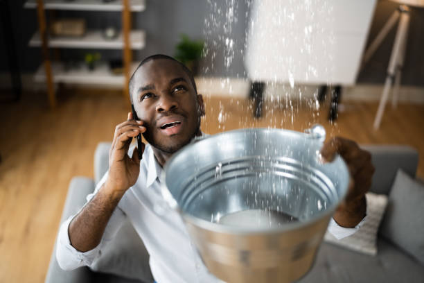 Best Mold removal after water damage  in Valley Falls, RI