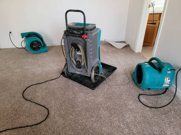 Best Flooded house restoration  in Valley Falls, RI