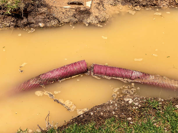 Best 24/7 water damage repair  in Valley Falls, RI